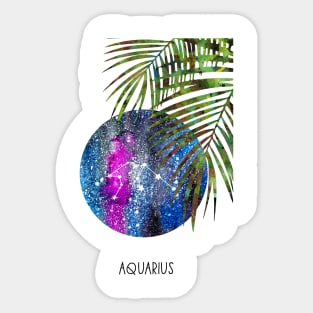 Aquarius Constellation, Aquarius Sticker